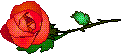 rose2.gif